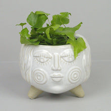  Fleur Pot Planter White 13cmr - New Season Pre Order - Mosshead Trading Co