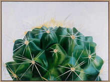  Cacti Canvas Art Print
