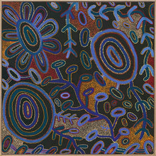  Warlukurlangu Jukurrpa Canvas Art Print