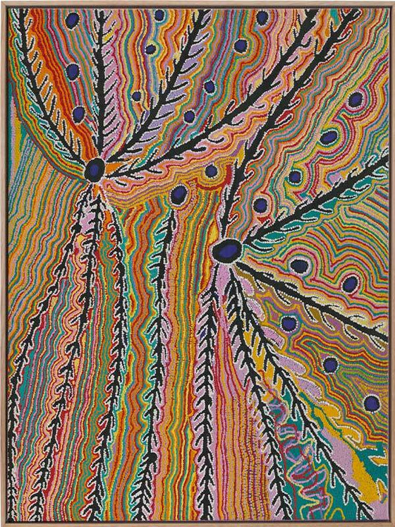 Wakirpirri Jukurrpa Multicolor Jukurrpa I Canvas Art Print