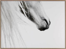  From the Horse's Mouth Art Print
