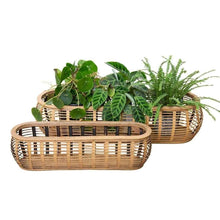  Bamboo Planters - Set of 2 - Mosshead Trading Co