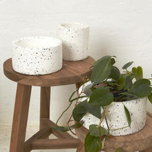  Milla Mini Flecked Pot - Mosshead Trading Co